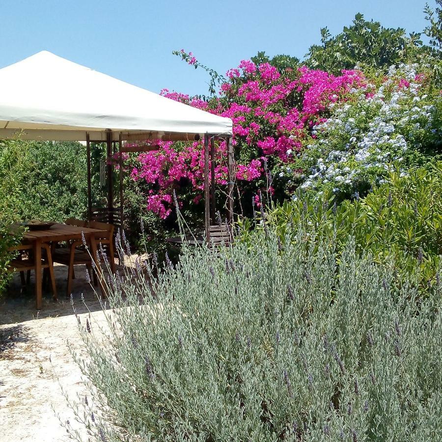 Villa Aegina'S Oasis Exterior foto