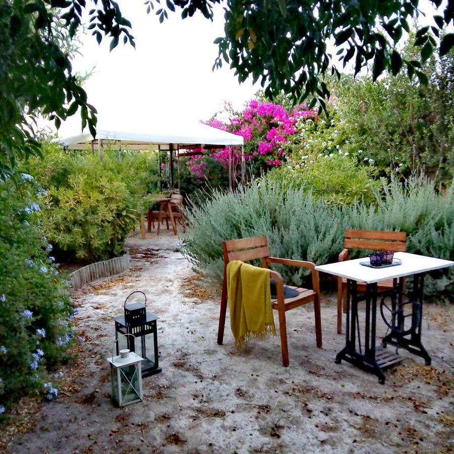 Villa Aegina'S Oasis Exterior foto
